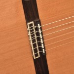 cut-600_pont