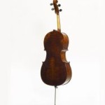 stentor arcadia cello taga